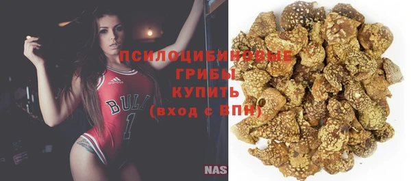 spice Абинск