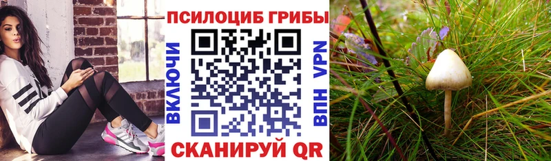 Галлюциногенные грибы GOLDEN TEACHER  Мегион 