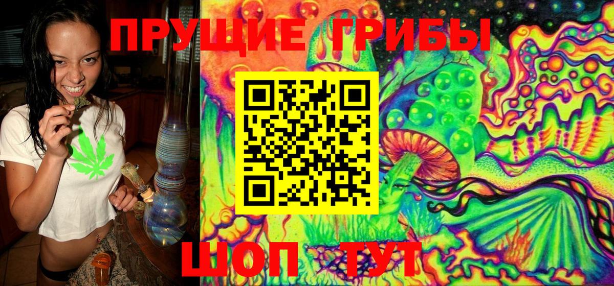 Псилоцибиновые грибы Magic Shrooms  Вход с VPN  Мегион 